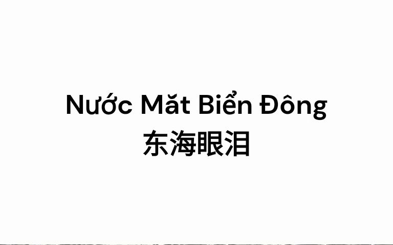 [图]【双语字幕】《东海眼泪》，Nước Mắt Biển Đông，作曲：月映