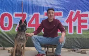 Download Video: 退役警犬哈娜为，今天恰逢十周岁生日，看看铲屎官给牠买了啥