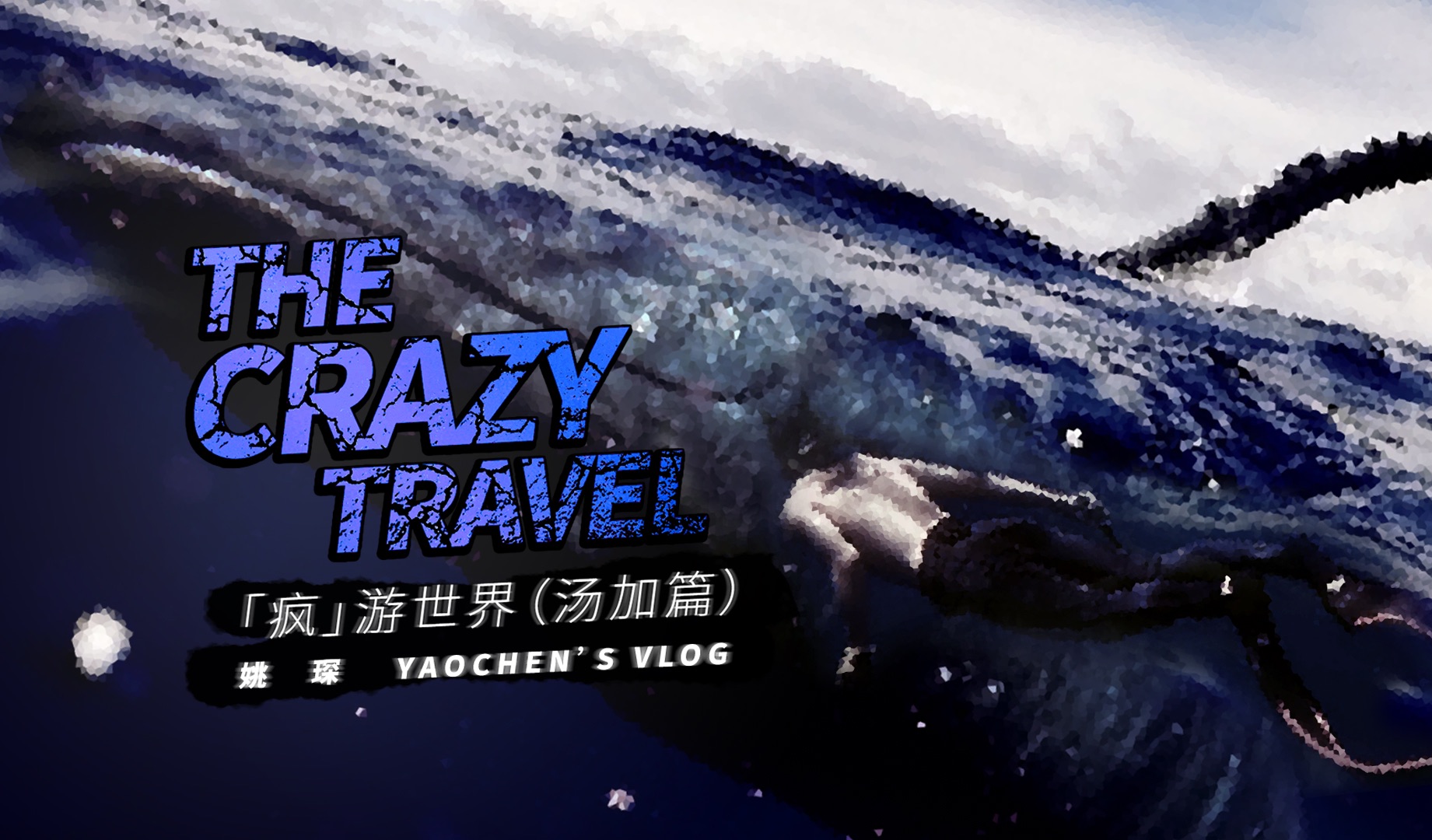 【姚琛VLOG】跟着船长在汤加体验鲸鱼大追赶，是今年最有意义的一次旅行！ | 疯游世界（汤加篇·下）-姚琛_Ivan-姚琛_Ivan-哔哩哔哩视频
