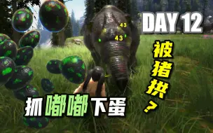 Descargar video: 【方舟维京湾12】抓嘟嘟下蛋被猪拱，蛋多到起飞？！- ARK方舟生存进化维京湾原始恐惧3倍恐龙生存