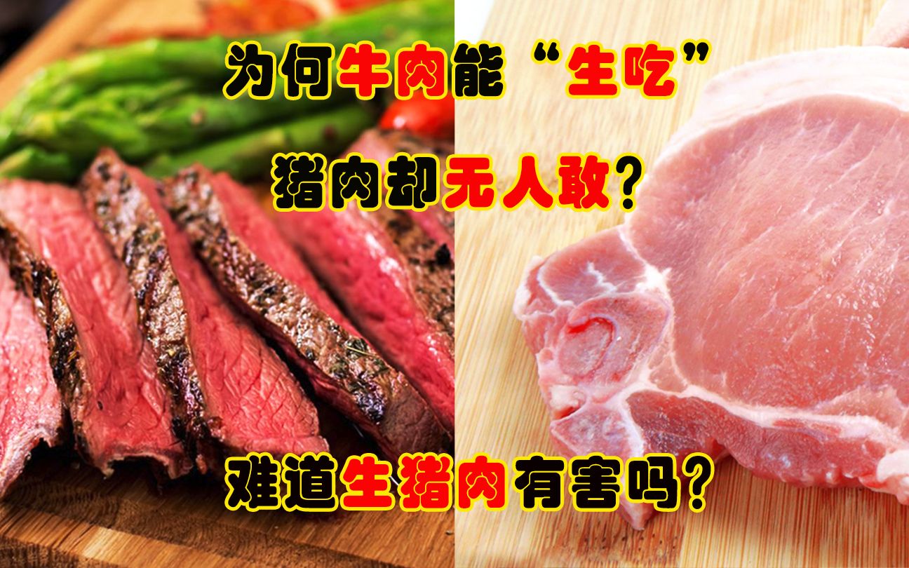 为何牛肉大家喜欢“生吃”,而猪肉无人敢这样,是因为有害吗?哔哩哔哩bilibili