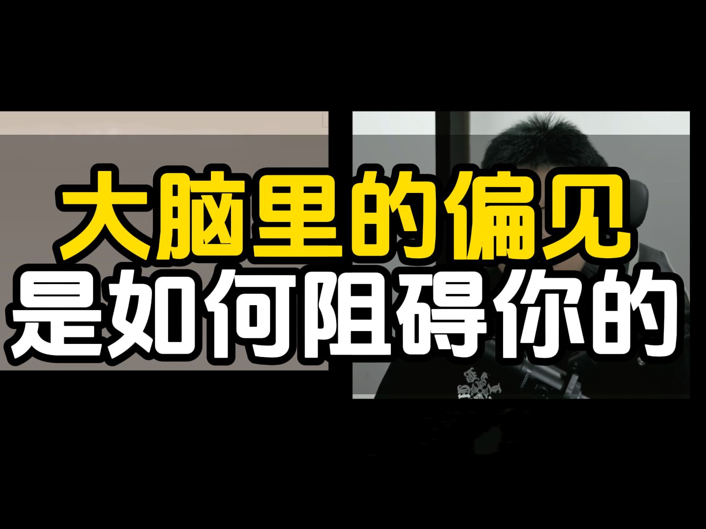 只要你有偏见,你就不可能谈到大美女丨图式是如何影响你的哔哩哔哩bilibili