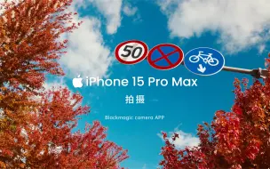 Download Video: iphone15 pro max 拍摄 秋日出游 一部手机就够了！