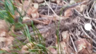 火工行18