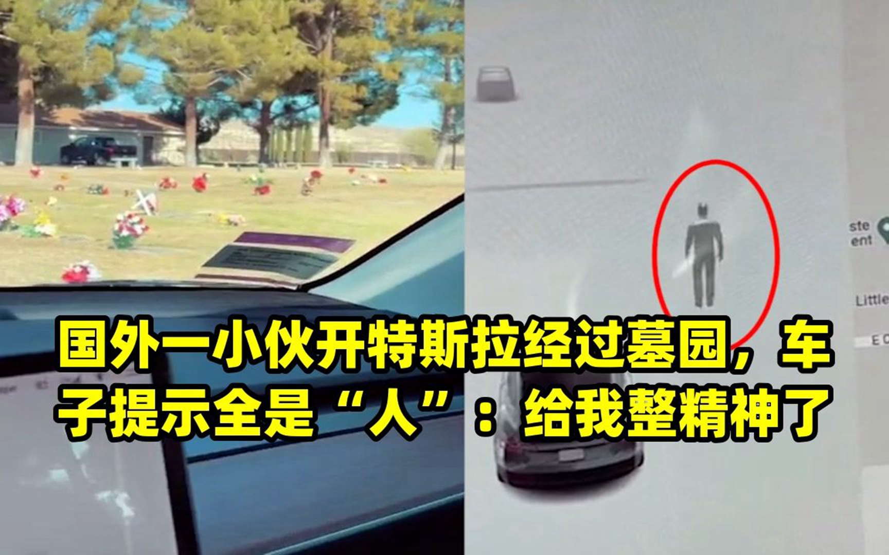 国外一小伙开特斯拉经过墓园,车子提示全是"人":给我整精神了