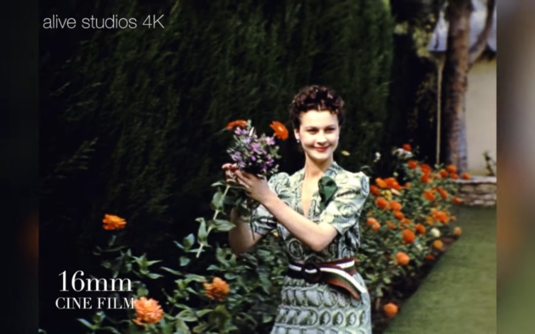 [图]The Best of British Beauties in our opinion Vivien Leigh