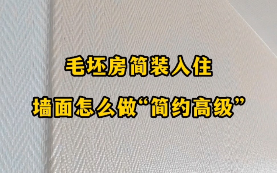 毛坯房简装入住,墙面怎么做“简约高级”,德国原装进口,郑州维图蓝石英壁布哔哩哔哩bilibili