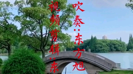 [图]水乡烟雨楼，微风轻拂柳。一曲《琴思》吹奏江南风光秀