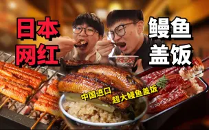 Download Video: 日本网红巨型鳗鱼盖饭,超大分量普通人吃不了兜着走！