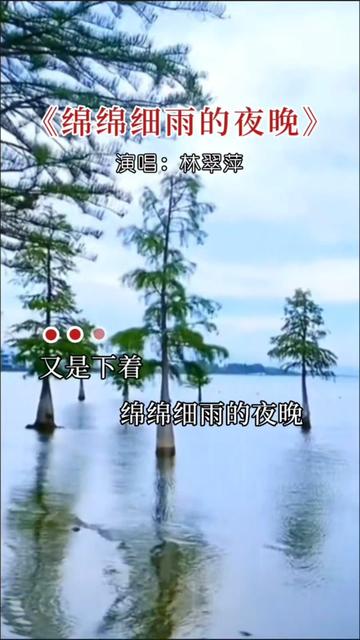 《绵绵细雨的夜晚》哔哩哔哩bilibili