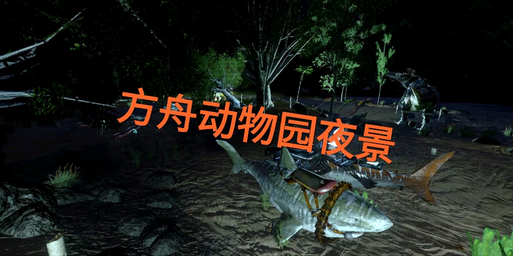 加上安康鱼,晚上还挺好看的.