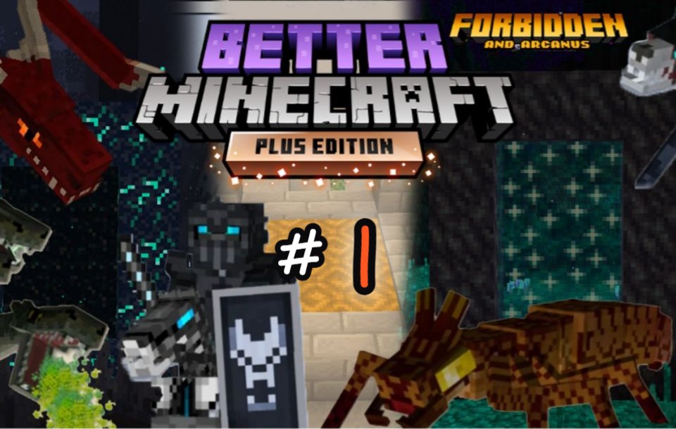 [图]【服务器日记】Better Minecraft Plus 更好的mcPlus #1