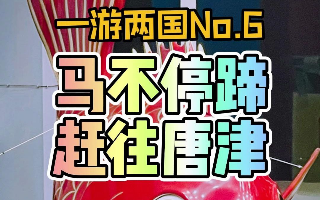 古时日本人从这里上传前往唐朝学习【一游两国No.6唐津(上)】哔哩哔哩bilibili