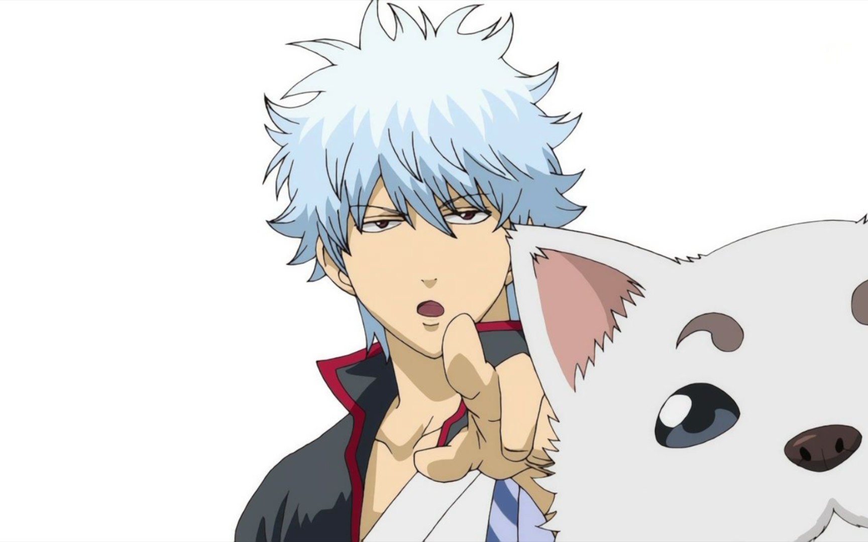 坂田银时!参上!