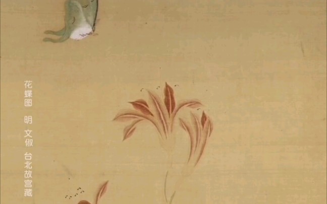 花蝶图明代文俶作品现藏台北故宫博物院
