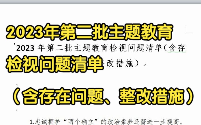 2023年第二批主题教育检视问题清单(含存在问题、整改措施)哔哩哔哩bilibili