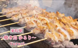 Video herunterladen: 日本街头美食：颜色纯正、质感满满的烧鸟店，回头客占到了90%以上