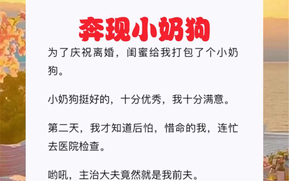 为了庆祝离婚,闺蜜给我打包了个小奶狗.小奶狗挺好的,十分优秀,我十分满意.短篇小说《奔现小奶狗》哔哩哔哩bilibili