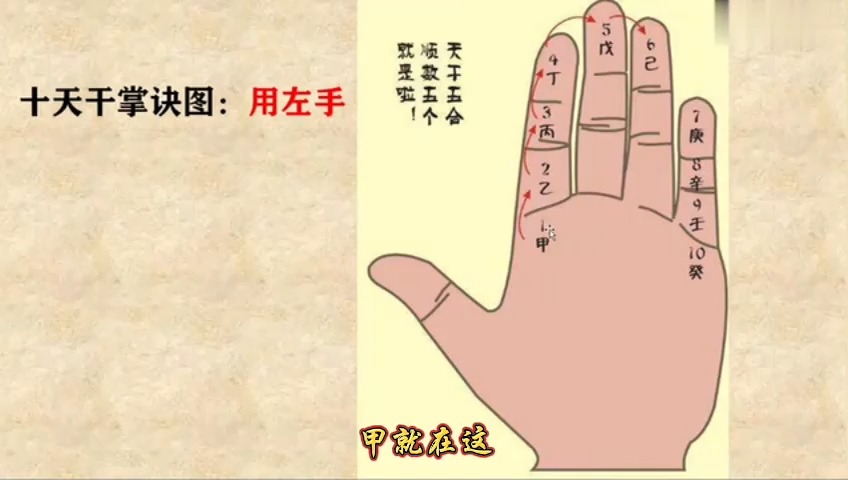 【零基础学八字 共100集 】全网最轻松学会看八字命里(三连+关注 赠资料)跟着学,学就会!哔哩哔哩bilibili