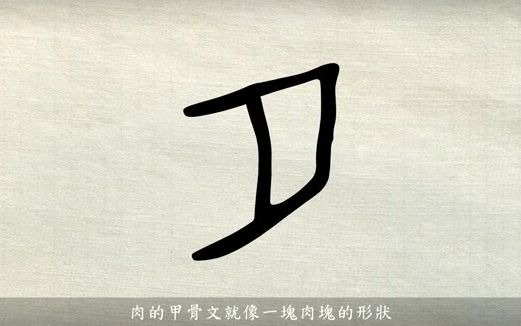 汉字说故事之“肉”字.《说文解字》 肉:zi4 肉.象形.凡肉之属皆从肉.哔哩哔哩bilibili