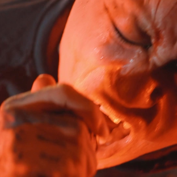 petit brabancon 【未開封】EXPLODE NEGLECTED〜 Petit Brabancon channels '70s horror in 