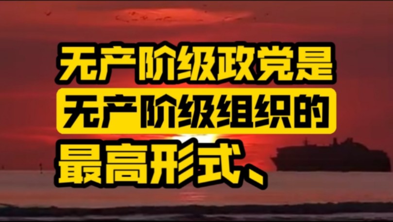 无产阶级政党是无产阶级组织的最高形式,党必须领导一切,这是马克思主义的重要原则.哔哩哔哩bilibili