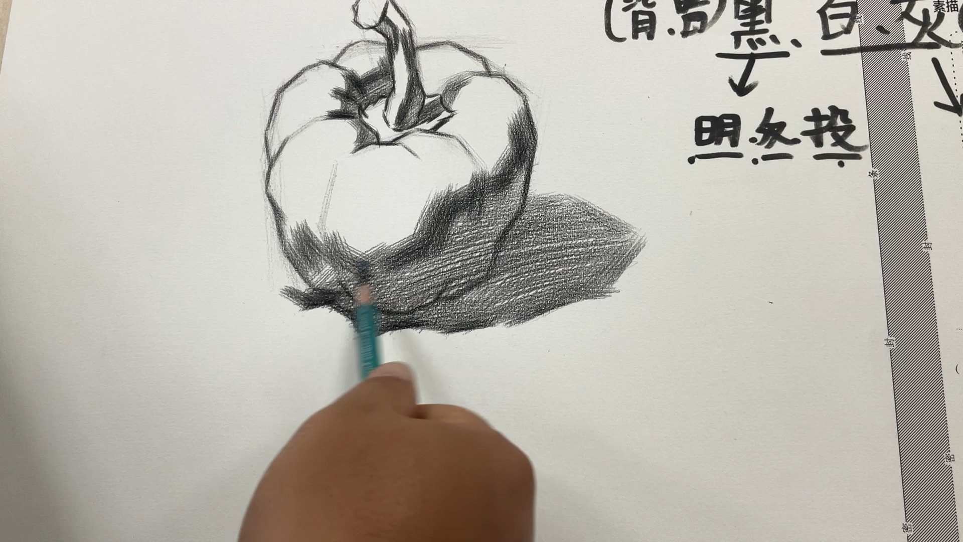 柿子椒素描图片图片