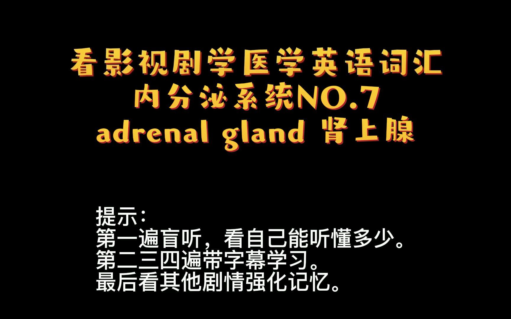 看影视剧学医学英语 内分泌系统 NO.7 adrenal gland 肾上腺哔哩哔哩bilibili