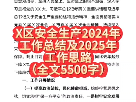 X区安全生产2024年工作总结及2025年工作思路(全文5500字)哔哩哔哩bilibili