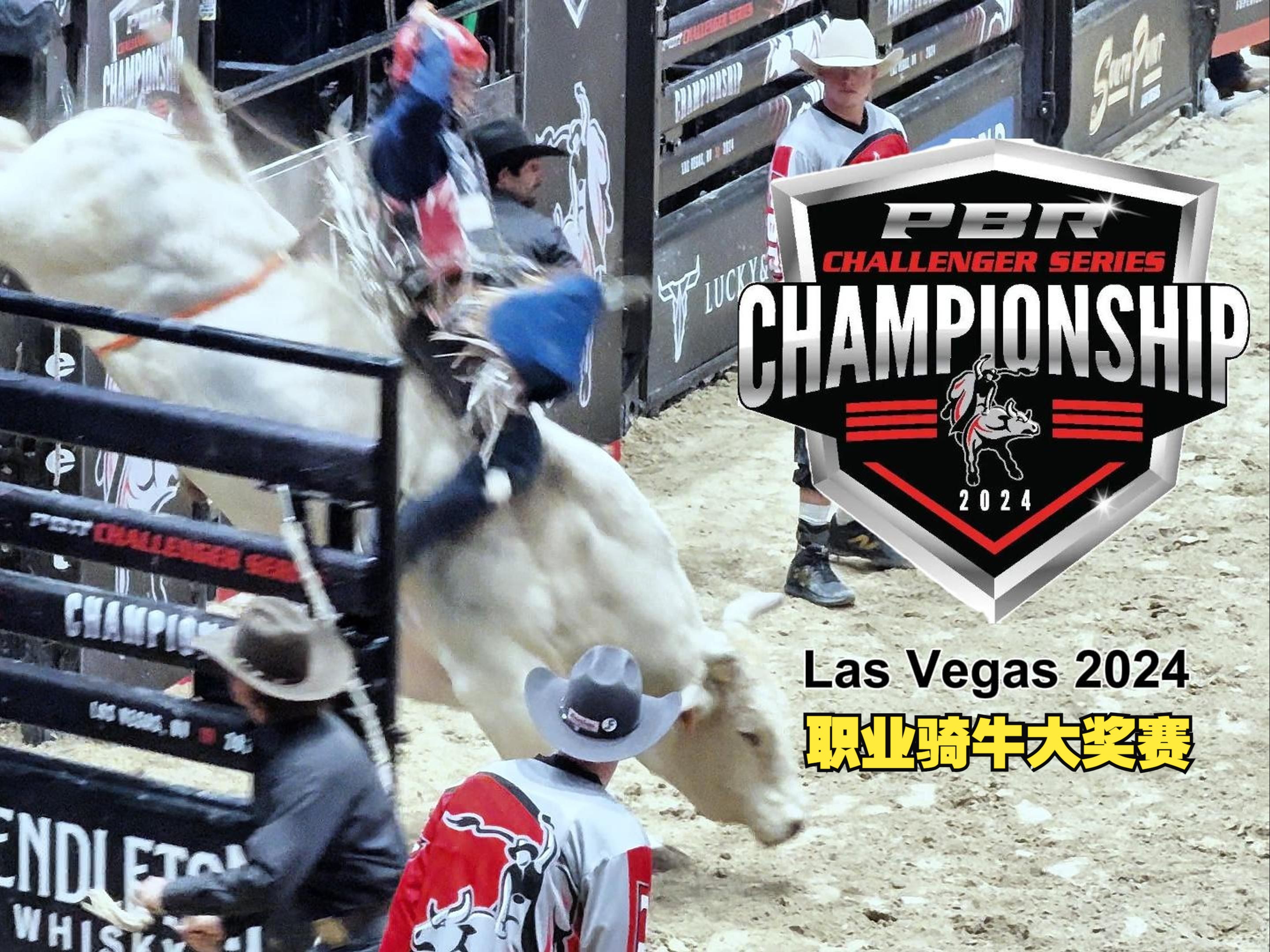 【Ted看世界】拉斯维加斯: 年度职业骑牛大奖赛 Professional Bull Riders Championship, Las Vegas 2024哔哩哔哩bilibili