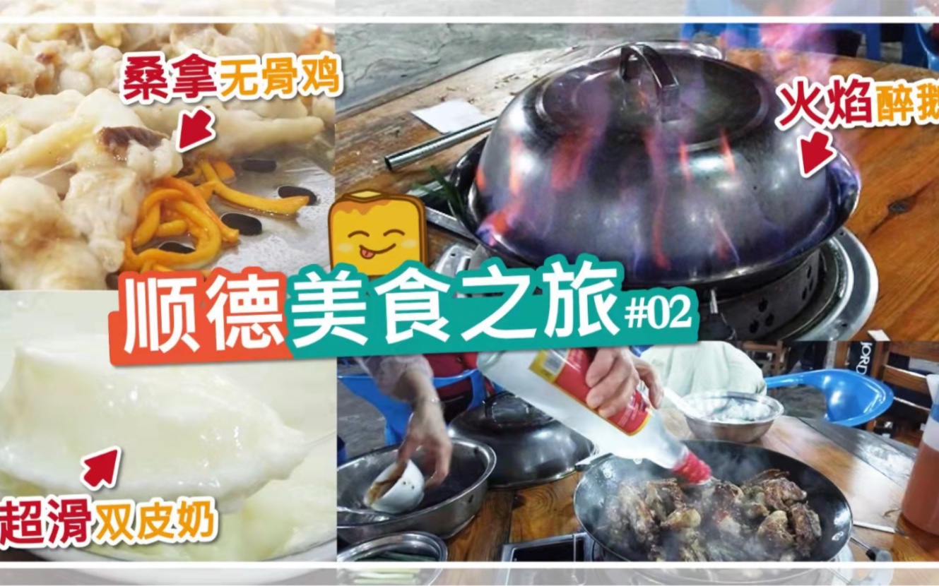 【港仔游顺德】顺德美食之旅02哔哩哔哩bilibili