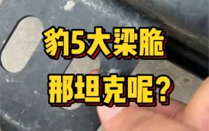 Download Video: 豹5大梁脆？