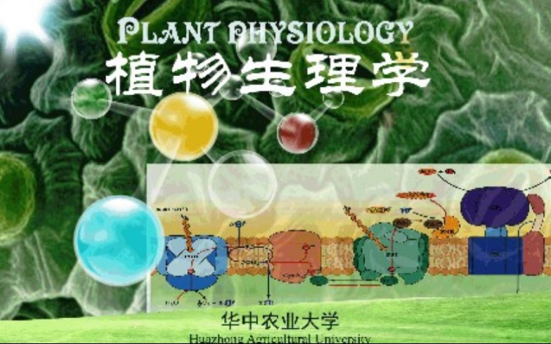 [图]华中农业大学 - 植物生理学（国家级精品课）