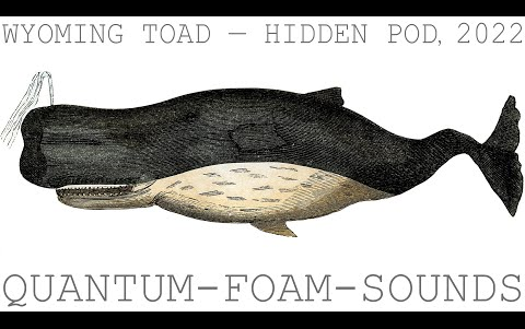 【环境音乐/鲸歌】Wyoming Toad – Hidden Pod (2022)哔哩哔哩bilibili