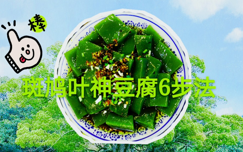 【斑鸠叶豆腐】6步法制作草灰水和树叶合成的纯绿色美食哔哩哔哩bilibili