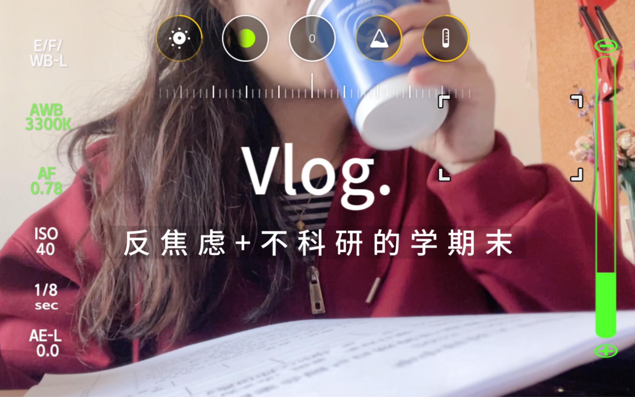 Work Vlog|985高校教师|反焦虑+不科研的一天哔哩哔哩bilibili