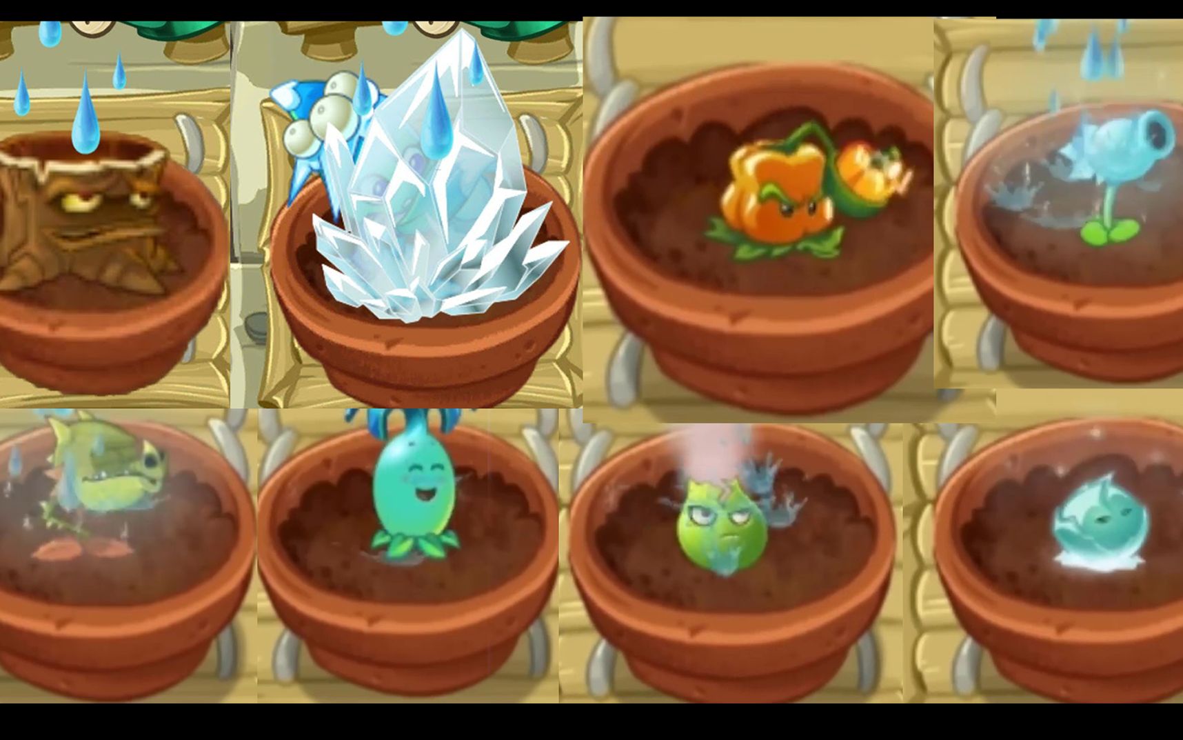 【pvz2】所有冰系火系植物浇水动画