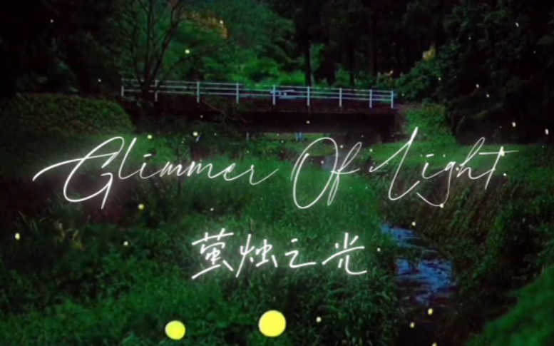 外研社复赛 《萤烛之光》Glimmer of light.演讲视频哔哩哔哩bilibili