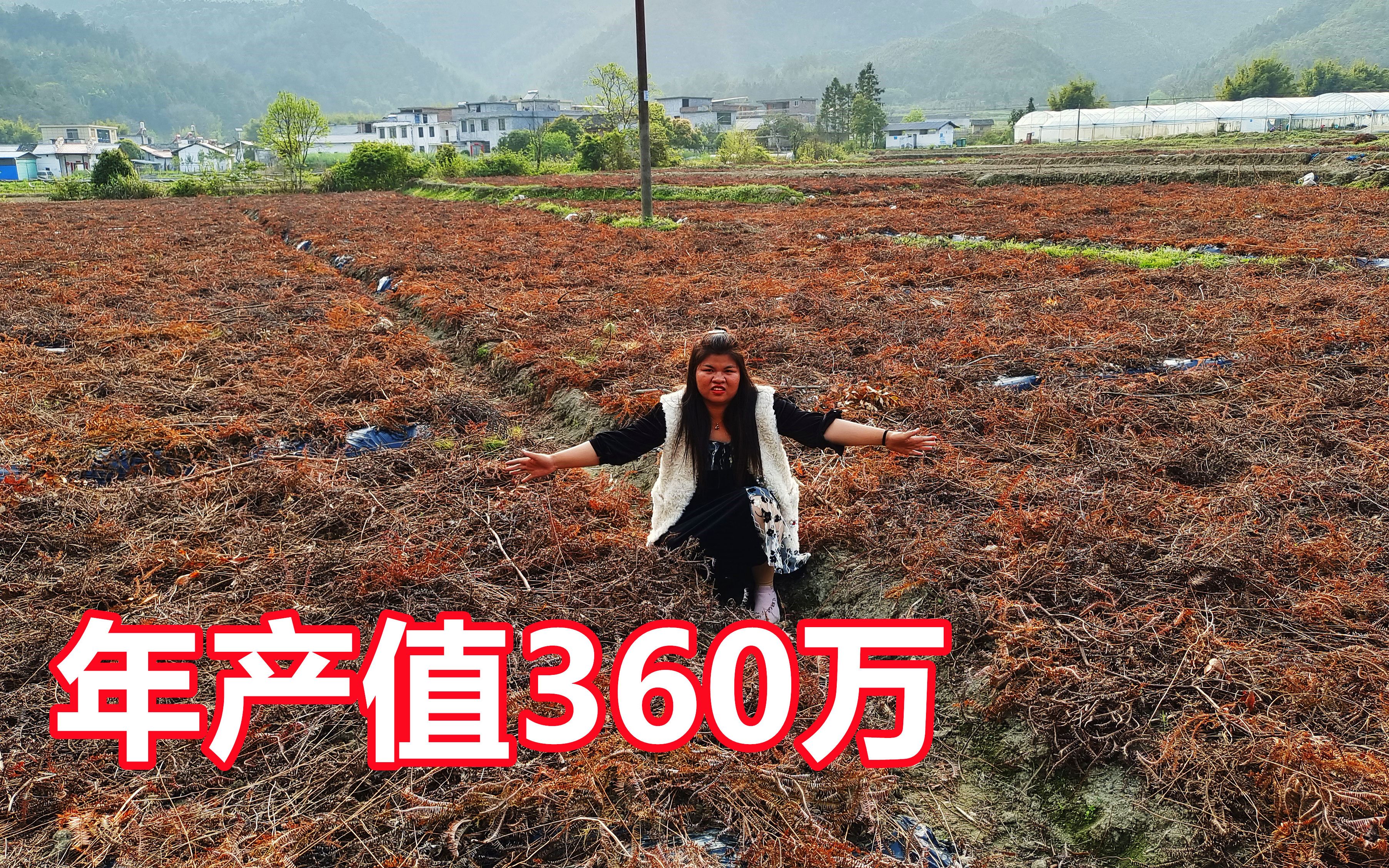 [图]俄罗斯夫妇承包50亩农田，种植稀有种药材，年产值高达360万