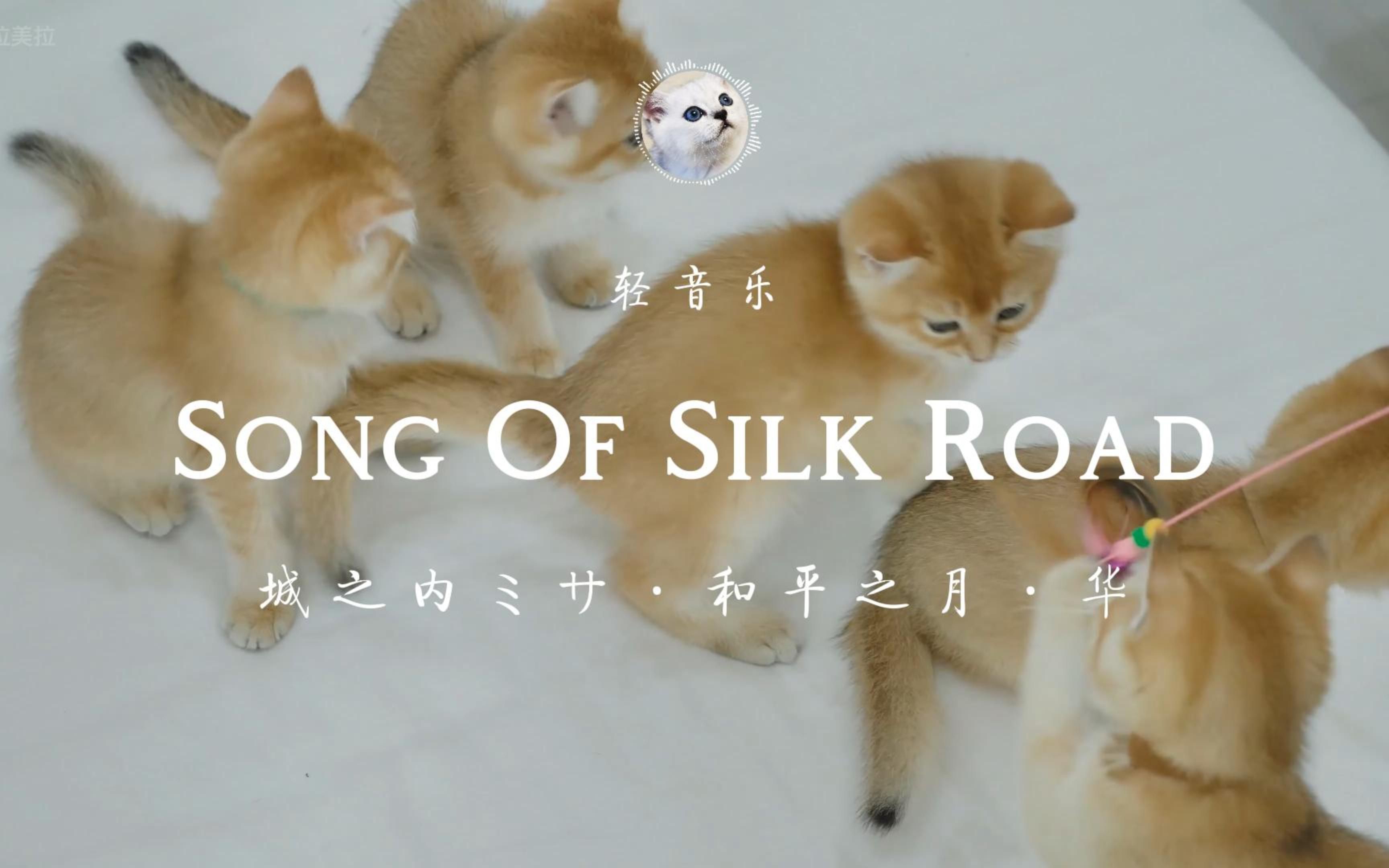 [图]经典轻音乐：和平之月·华·Song Of Silk Road！让耳朵怀孕！4K高清画质！视听享受！