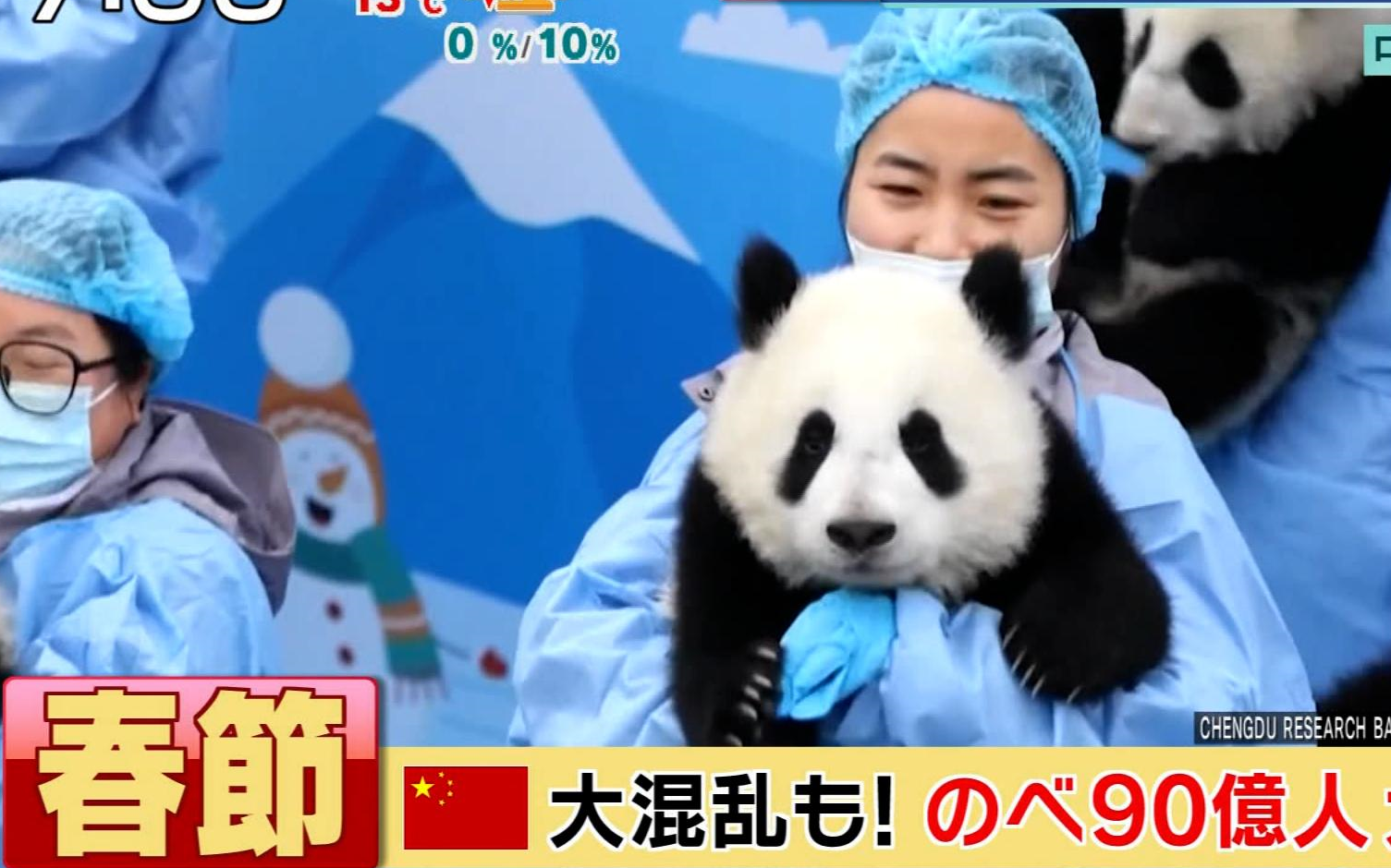 我总觉得日本人比中国人还关心熊猫,三天两头放新闻,我在国内的时候从