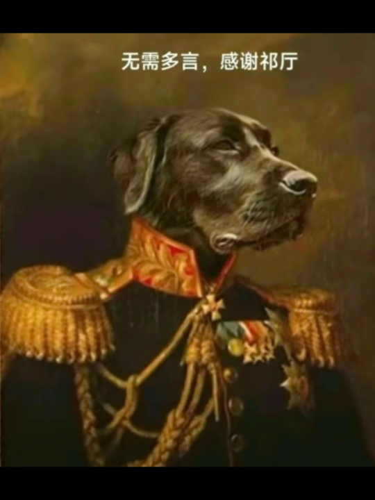 祁旺财:我太想进步了,祁厅,您看那个副警犬祁厅:副?正畜级!