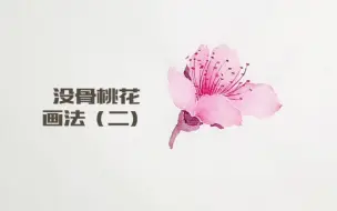 Download Video: “桃”之妖妖～没骨桃花技法系列～分享技法