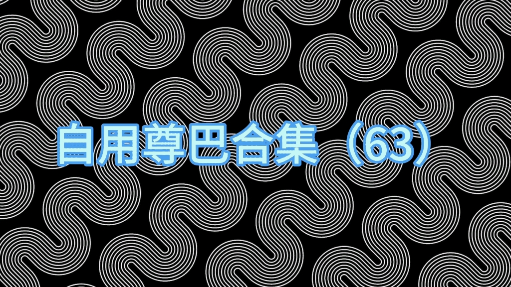 自用尊巴合集(63)moombathton