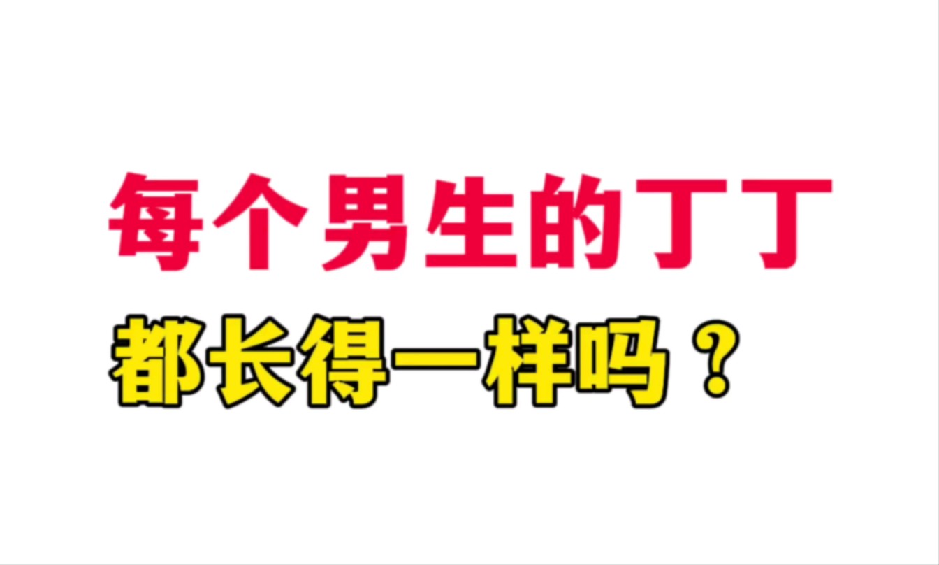 每个男生的丁丁都长得一样吗?哔哩哔哩bilibili