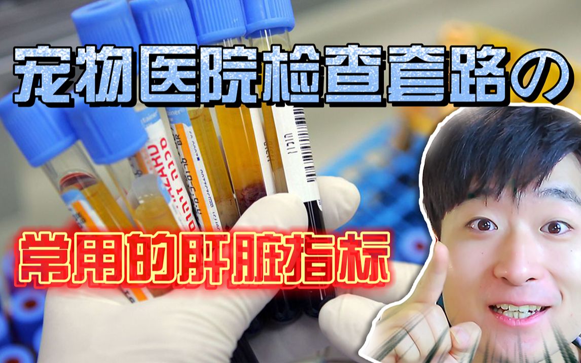 看病不迷路~深度解析宠物医院生化检查的肝脏指标哔哩哔哩bilibili