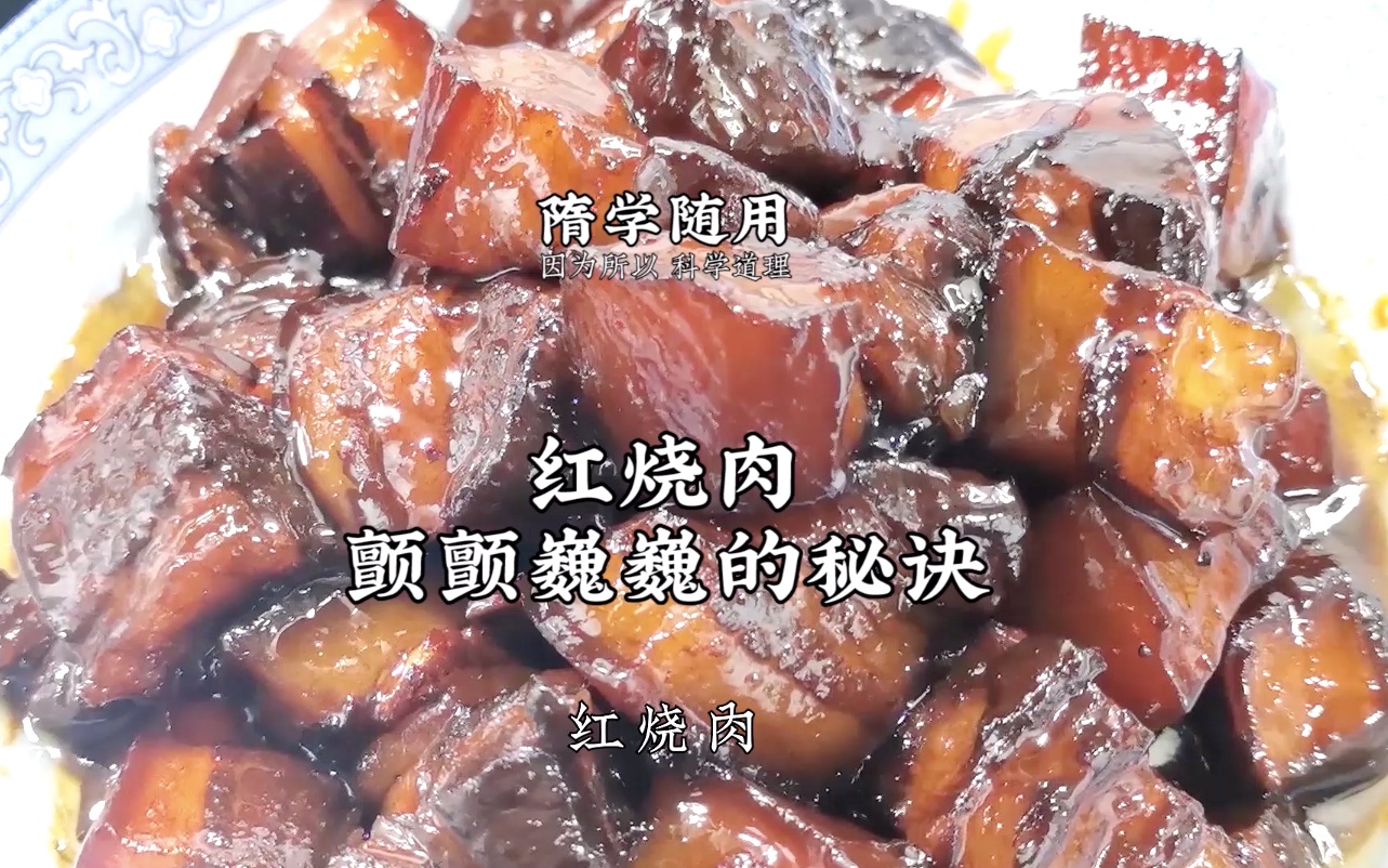 红烧肉家常做法,软烂入味,颤颤巍巍,一招让你的红烧肉抖起来!哔哩哔哩bilibili