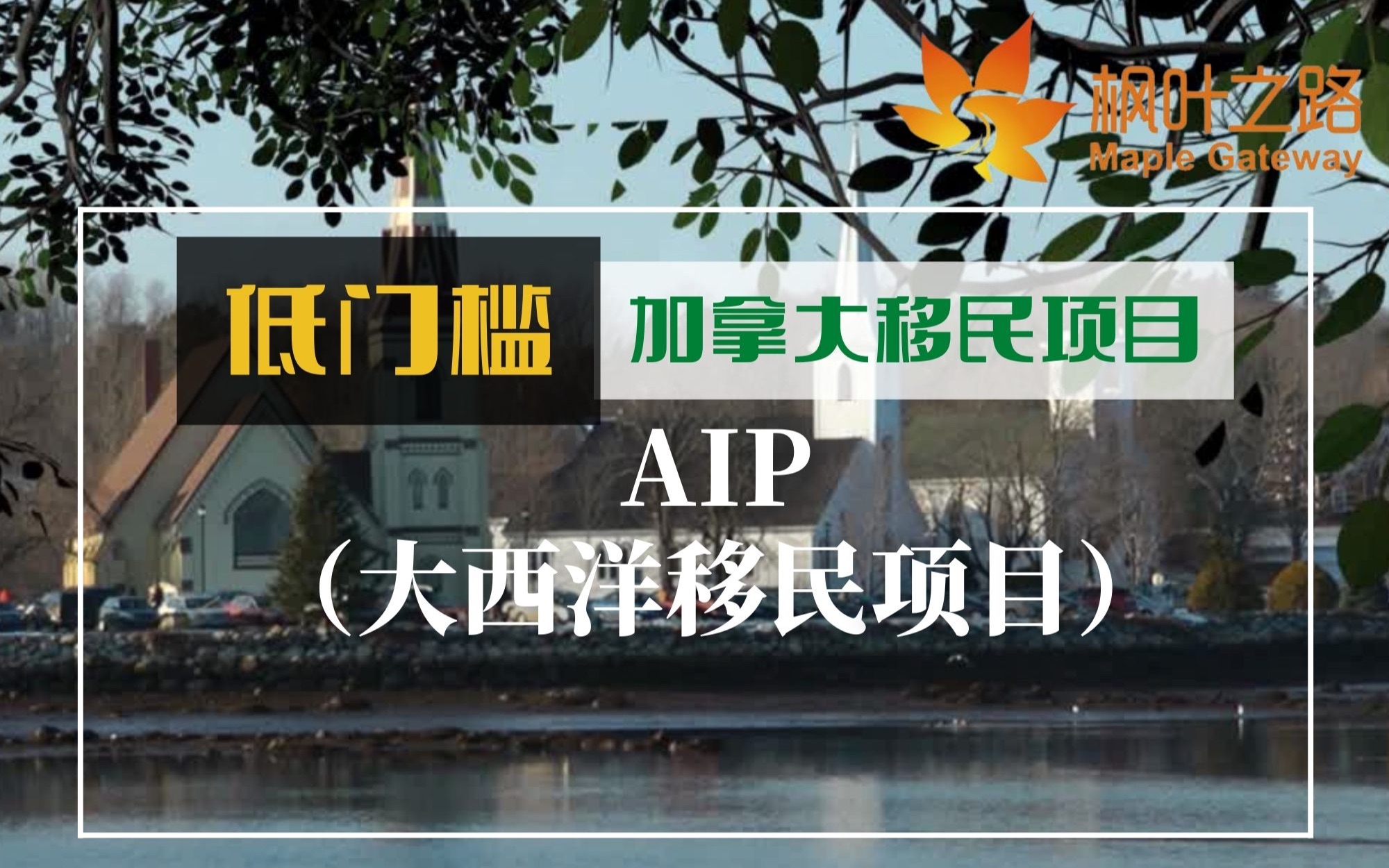 加拿大移民|只要高中学历,加拿大低门槛移民项目AIP哔哩哔哩bilibili