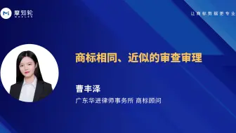 商标相同、近似的审查审理