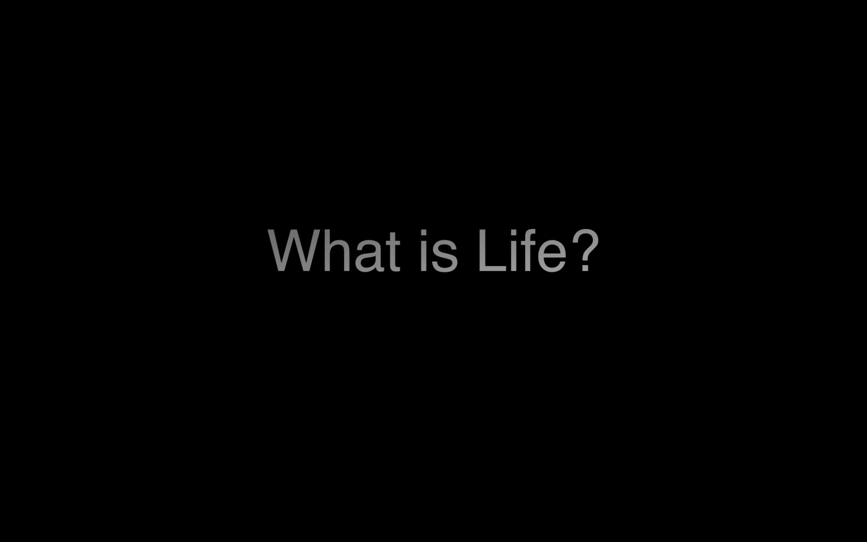 What is Life哔哩哔哩bilibili